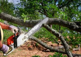 Soil Testing and Treatment in Commerce, GA